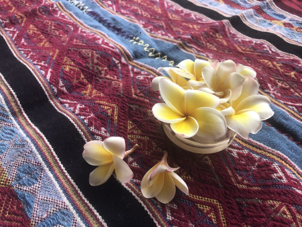 我們都能培育內在愛的力量